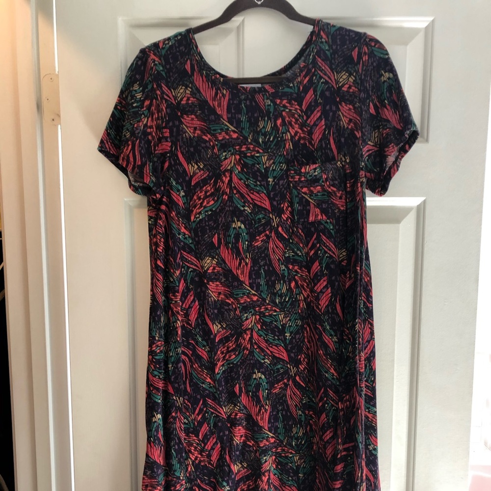 LuLaRoe Carly Dress